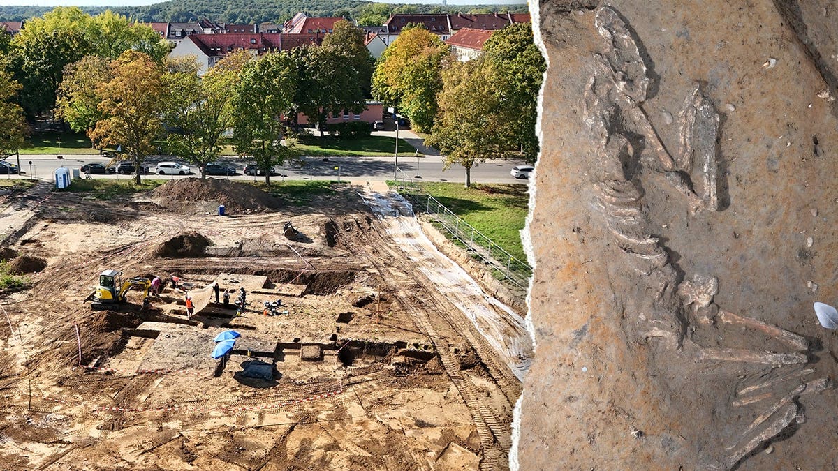 Split image of archaeologists working at site, view of skeleton