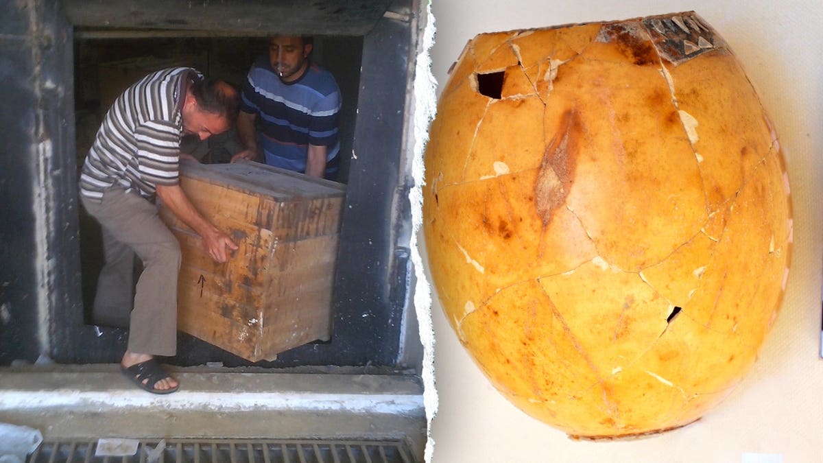 Split image of archaeologist moving boxes, artifact on display