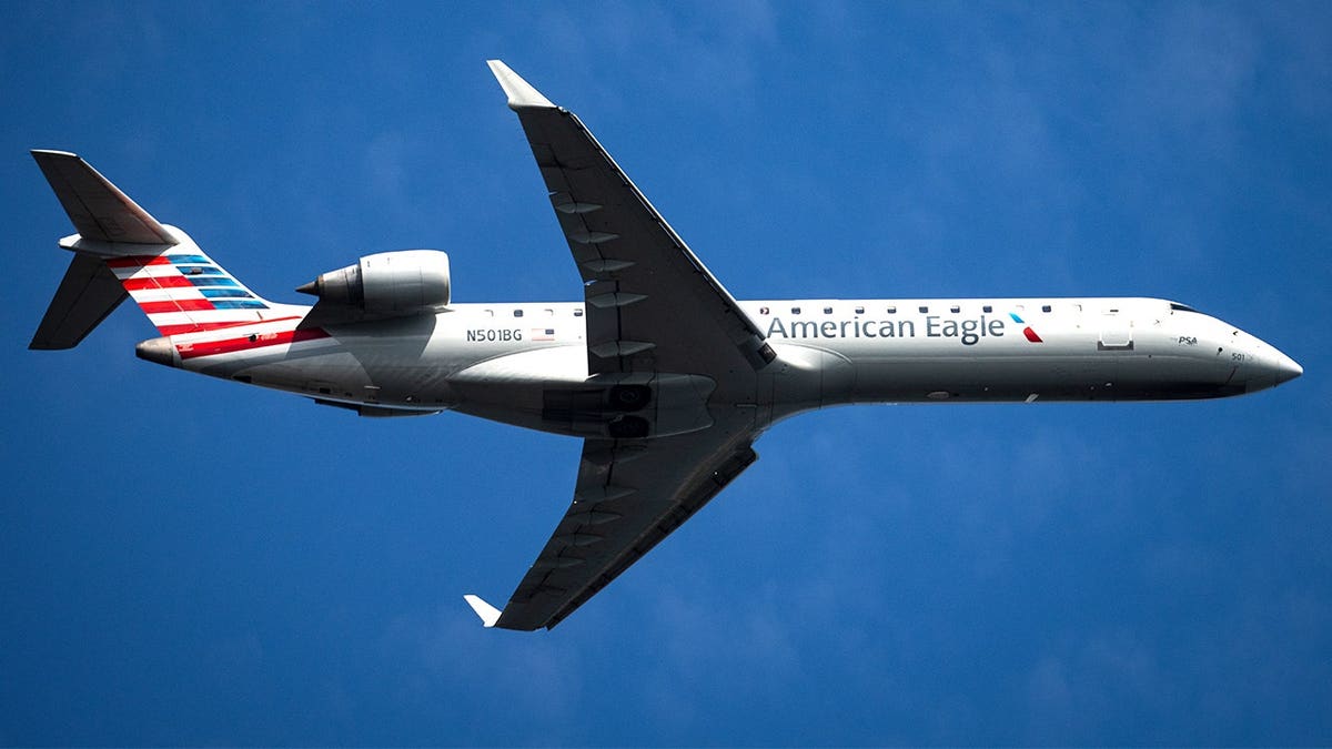 Stock image of American Eagle flight