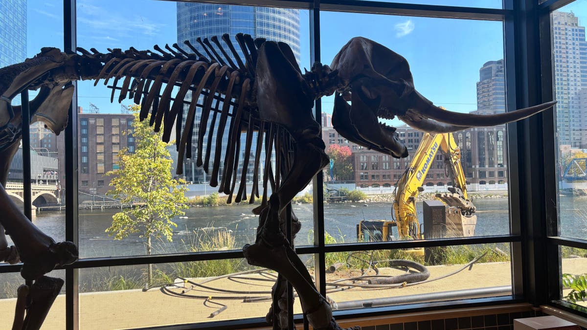 Grand Rapids Public Museum