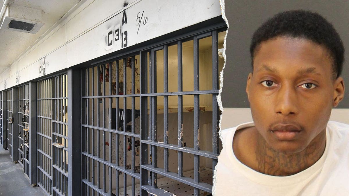 Tyree Reynolds mugshot