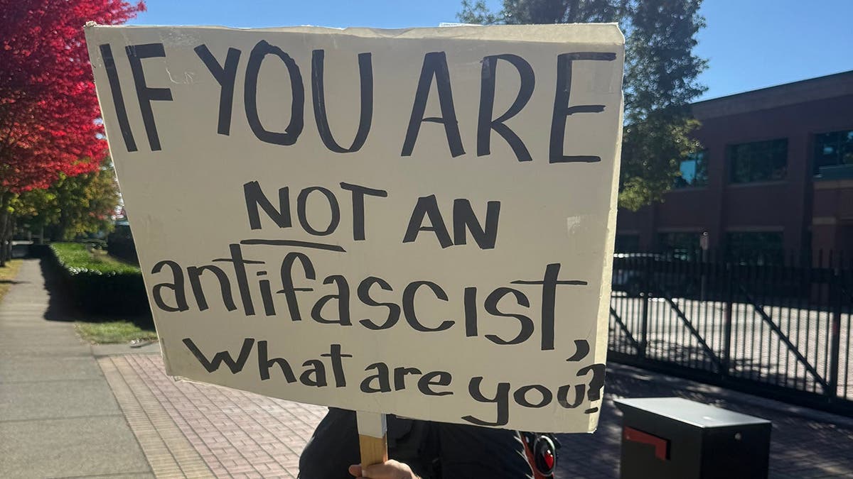 Protester outside a Washington rally