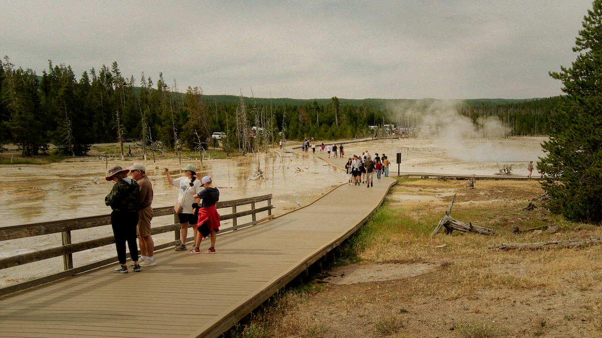 Visitors walk along a wooden boardwalk in Yellowstone National Park, with geothermal hot springs, rising steam, and forested background visible.