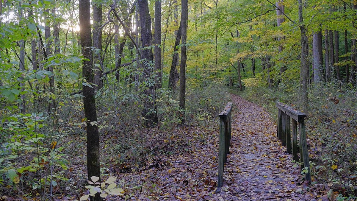 Autumn foliage lines a trail at Griffy Lake Nature Preserve after a rain shower.