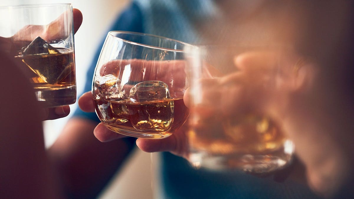 People clink glasses with alcohol during a toast.