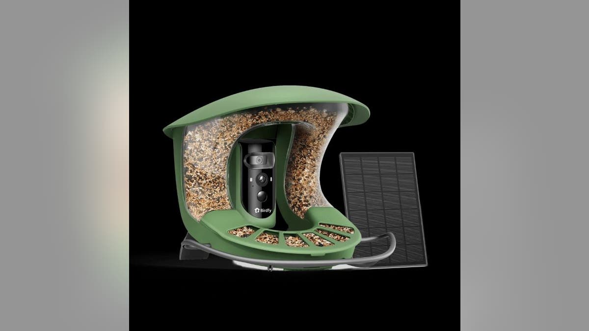This smart bird feeder sends photos of your backyard visitors straight to your phone.