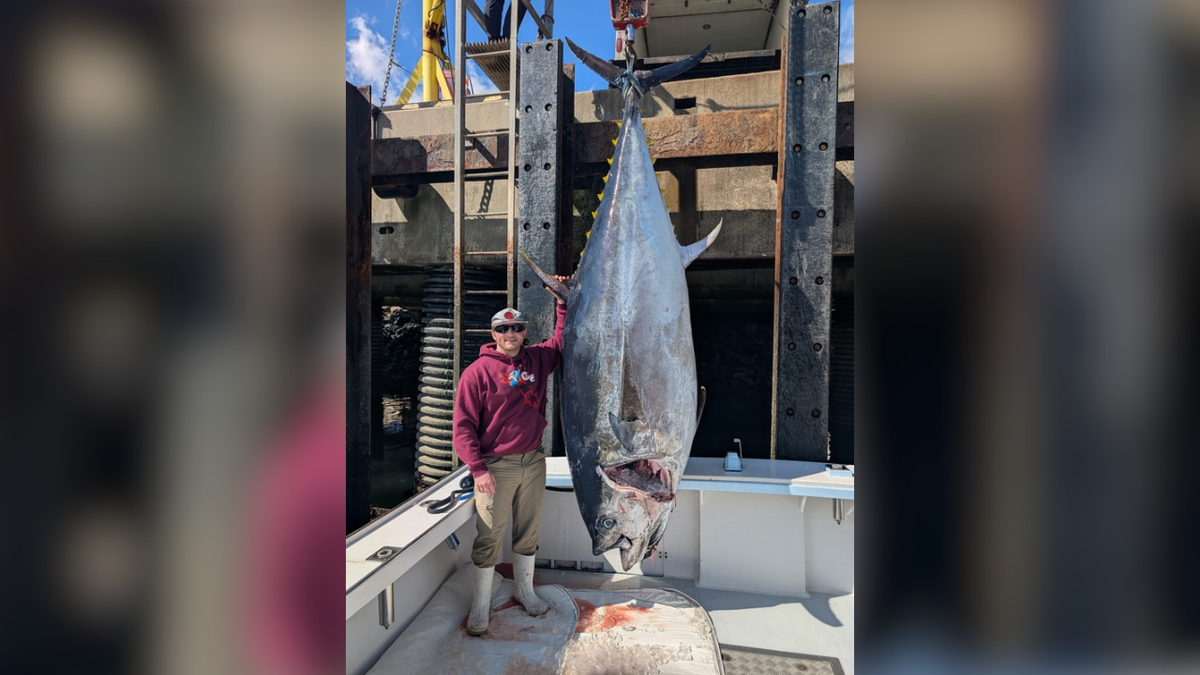 Man standing next to his record breaking bluefin tuna on a charter boat.