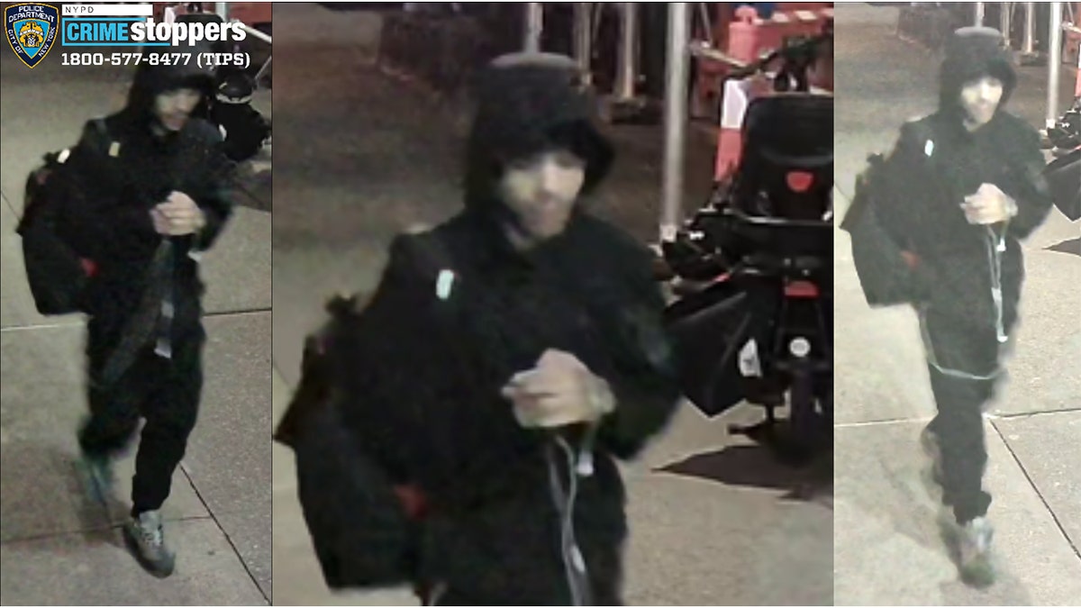 Central Park rape suspect