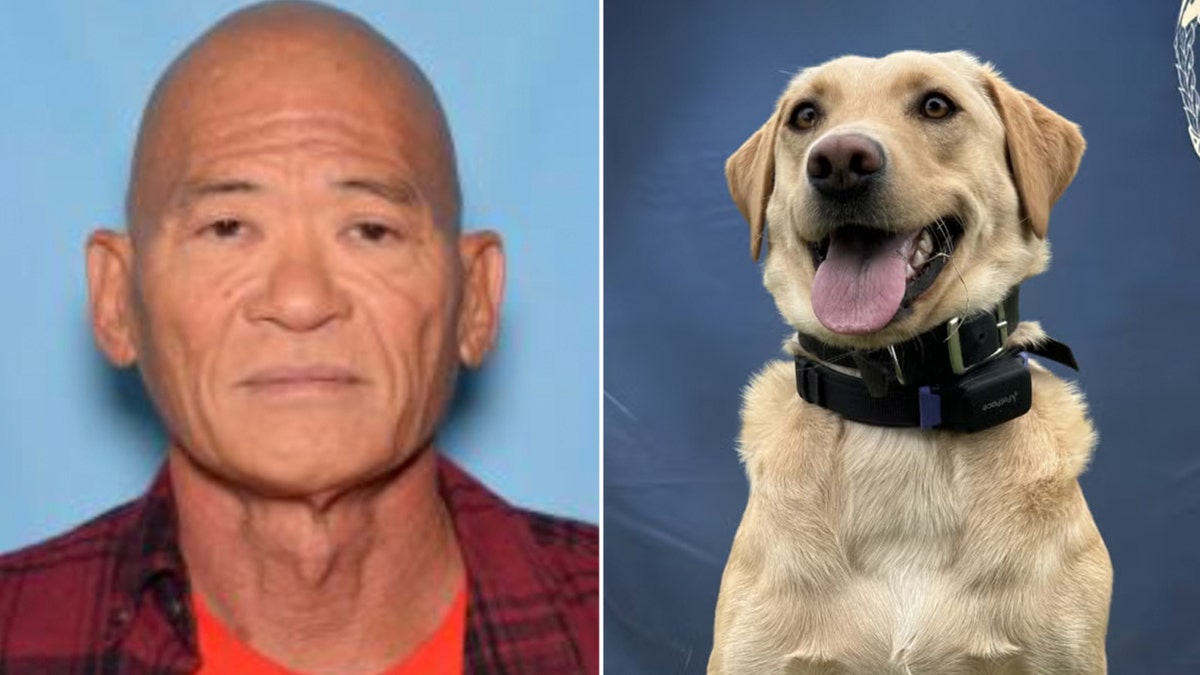 David Arai was found by Trina the dog after he was missing in Hawaii.