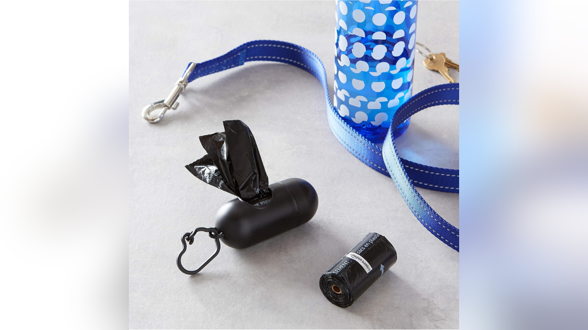 Stock up on dog-walking essentials.