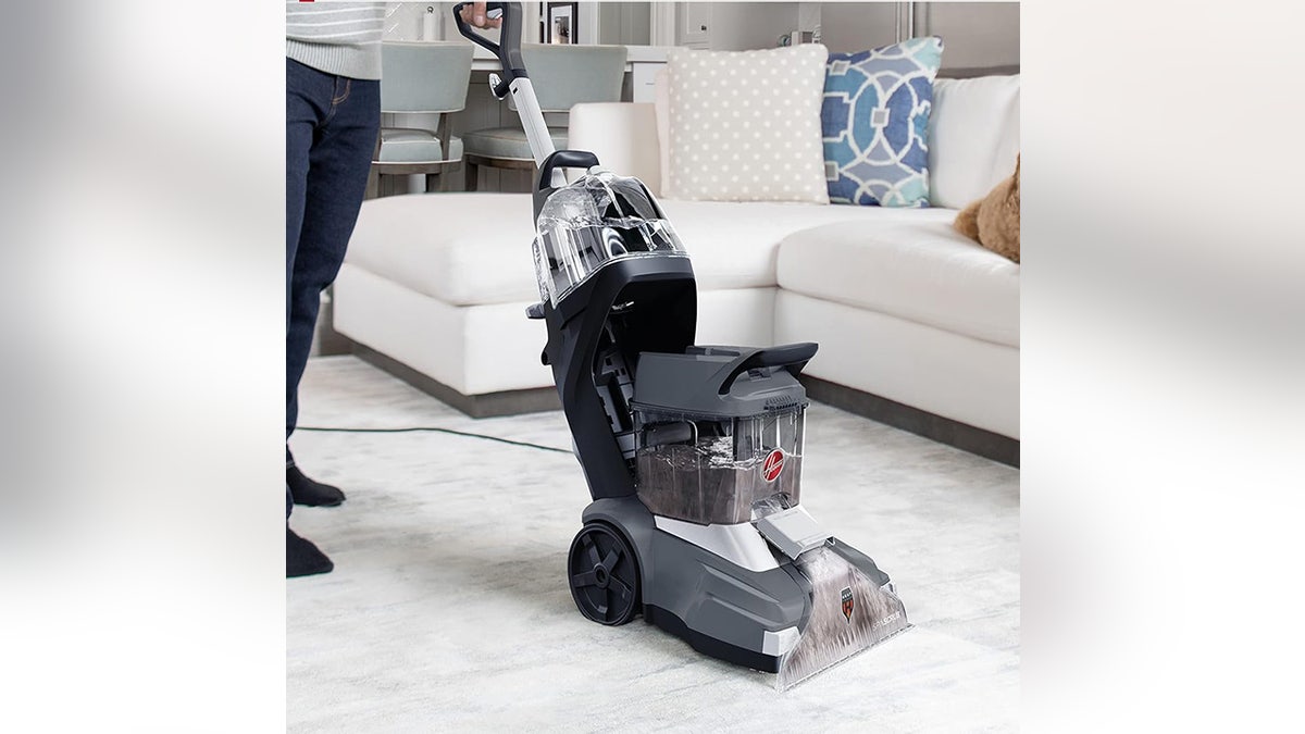 Scrub stains and pet messes from carpets.