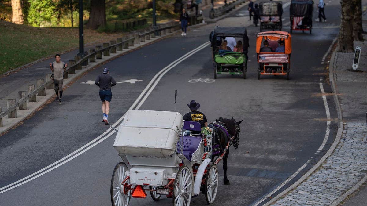 Horse-drawn carriages carrying passengers through Central Park in New York City