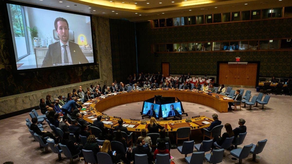 Hugging Face CEO Clement Delangue speaks remotely during a United Nations Security Council meeting