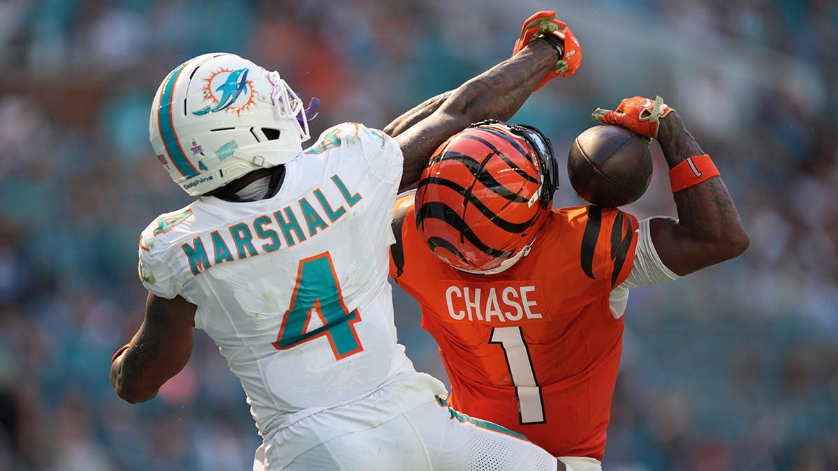 Ja'marr Chase catches a touchdown pass as Jason Marshall Jr. defends during an NFL game.