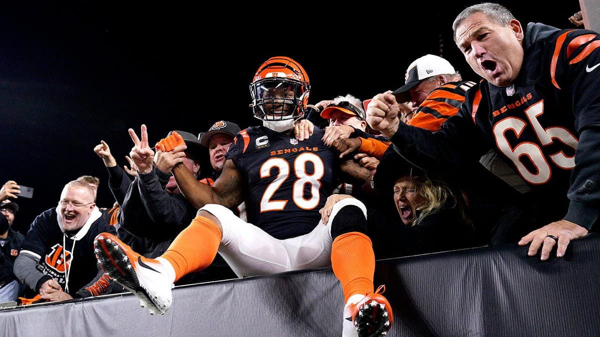 Joe Mixon celebrates a rushing touchdown with fans at Paycor Stadium.