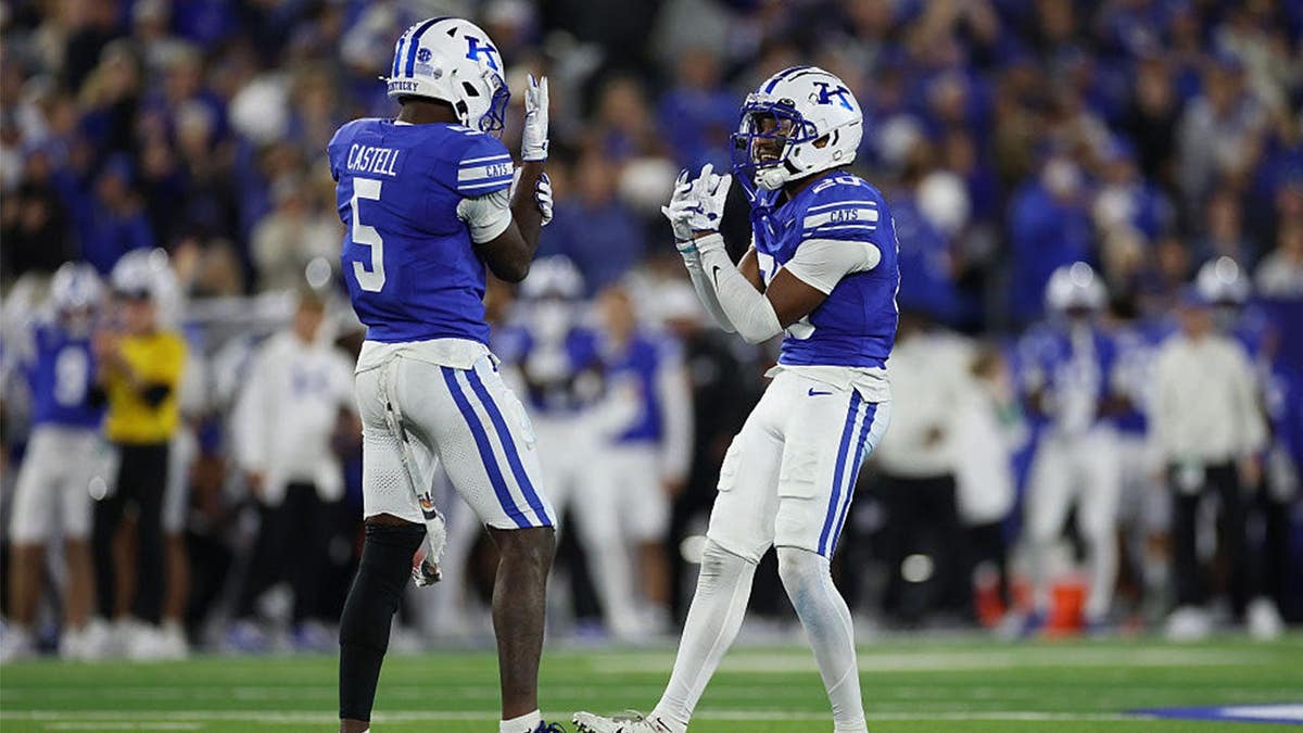 Kentucky wildcats football