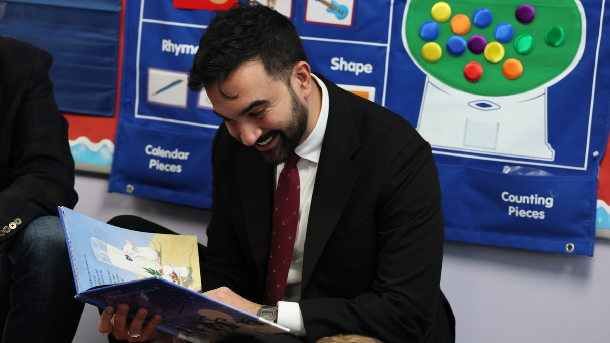 mamdani education reading book