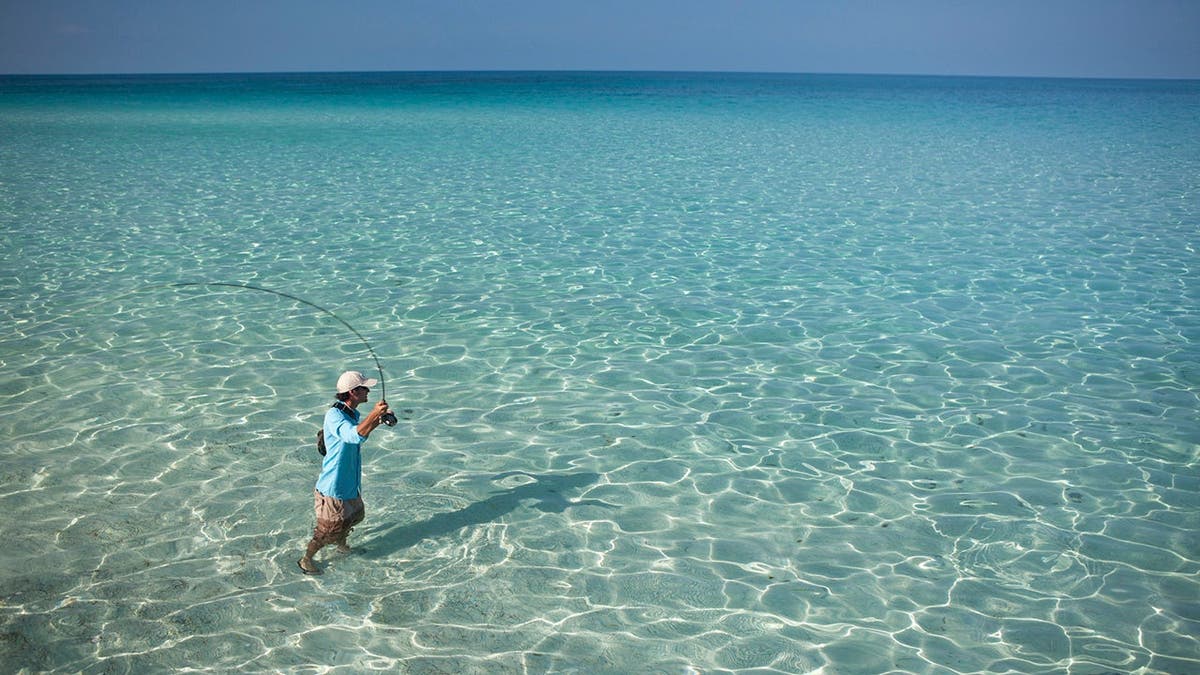 Man fly fishing in Caribbean waters.