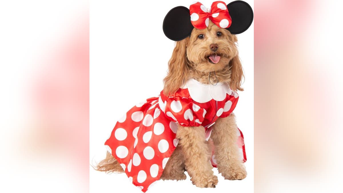 Fans of Minnie Mouse can get an official costume for their dog.