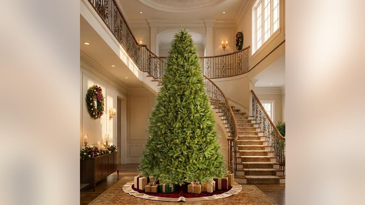 A tree built for tall ceilings.