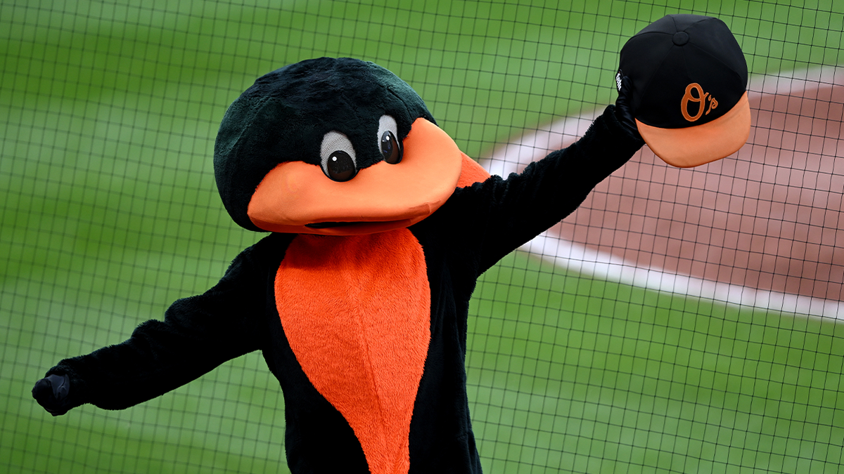 Baltimore Orioles mascot