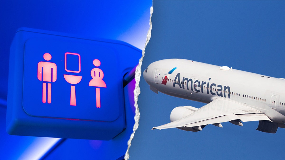 Lavatory sign and American Airlines plane