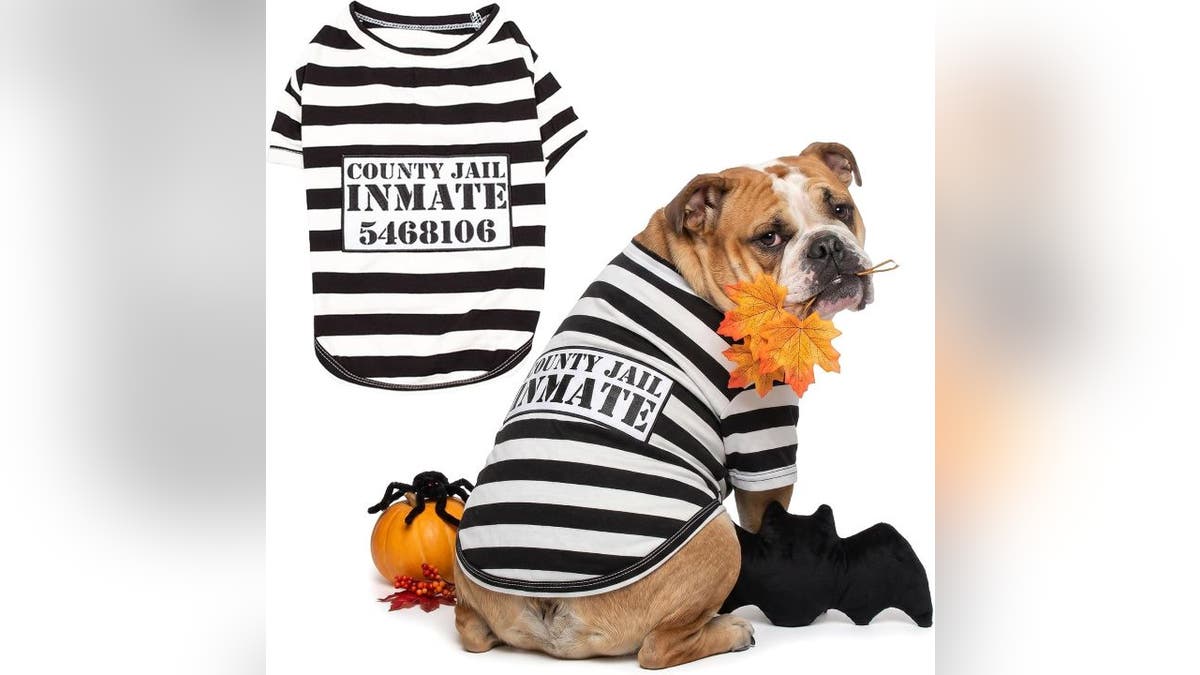 This spooky costume stays on all night.