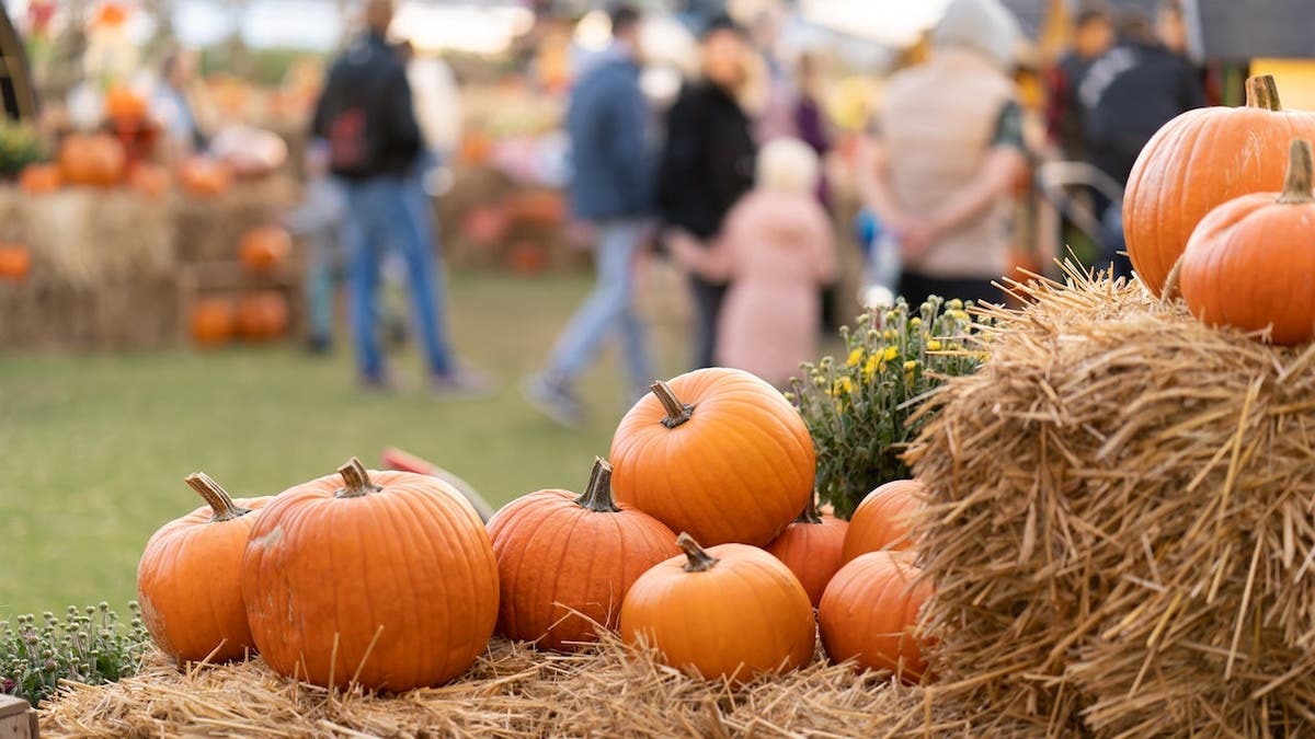 Pumpkins stacked on straw bales with people in blurred background at agricultural fair