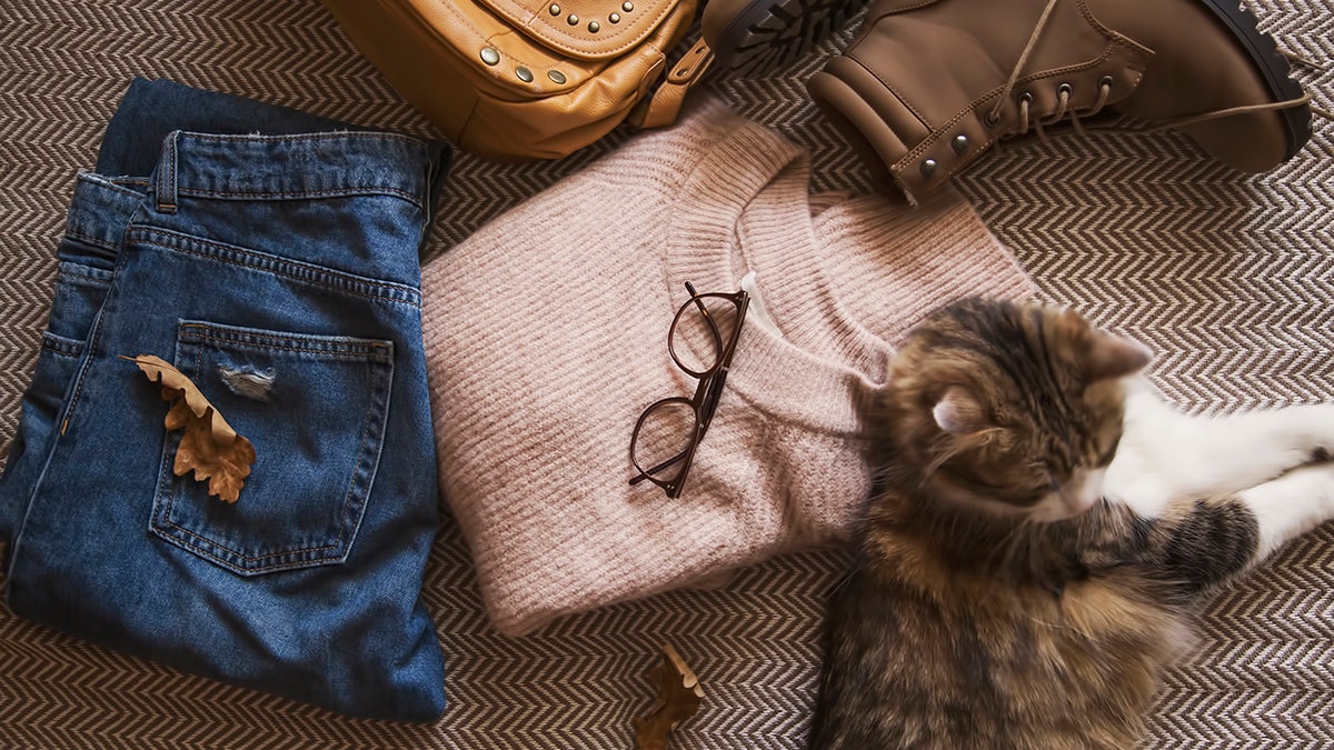 Stock up on sweaters and hoodies, new sneakers and rain gear.