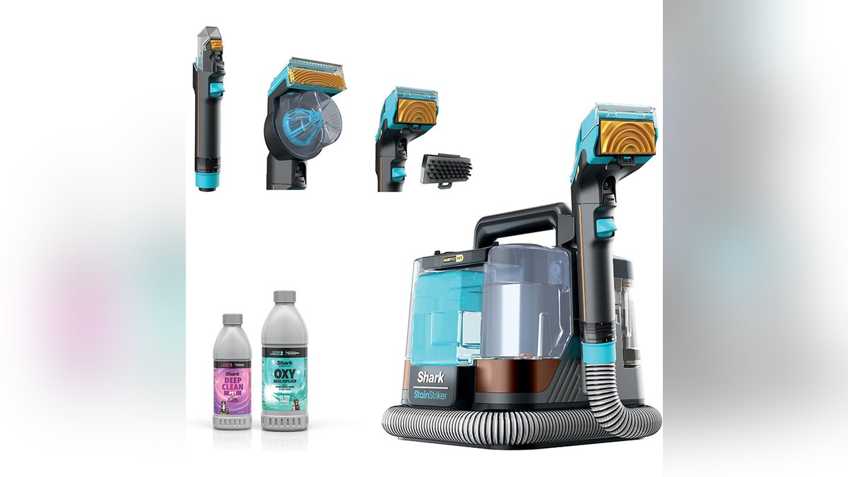 Handle pet messes and old stains, cord-free.