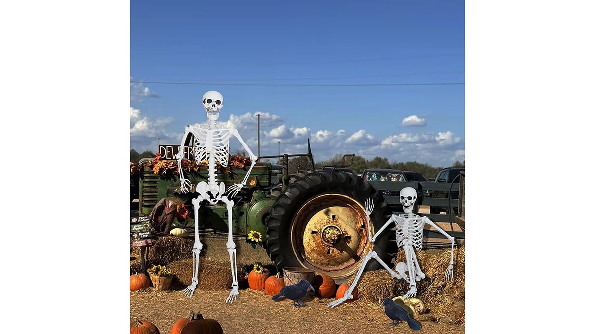 This skeleton is lightweight and easy to maneuver.