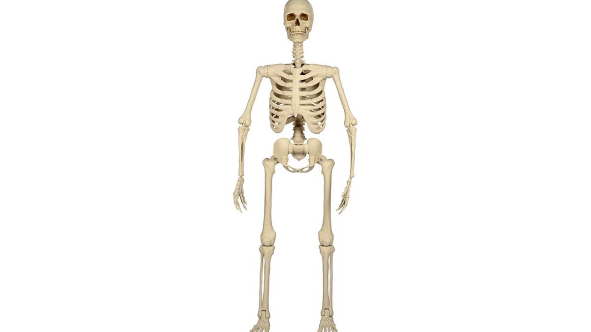 Position this skeleton however you'd like to suit your decor.