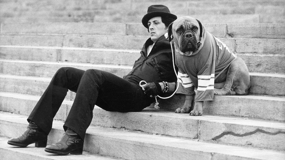 Sylvester Stallone sits on a staircase holding a dog wearing a football jersey.