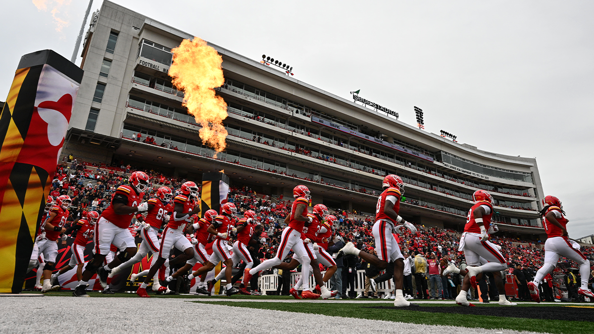 Maryland Terrapins