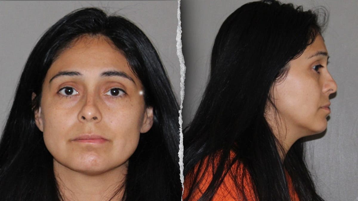 image shows split of mugshots