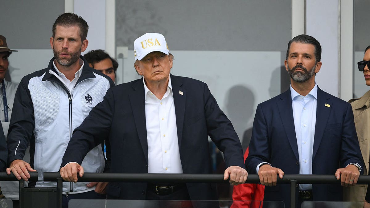 President Donald Trump and his oldest sons, Donald Trump Jr. and Eric Trump.