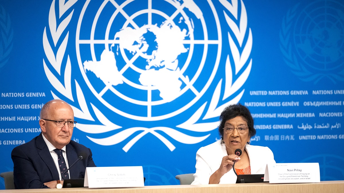 Navi Pillay and Chris Sidoti