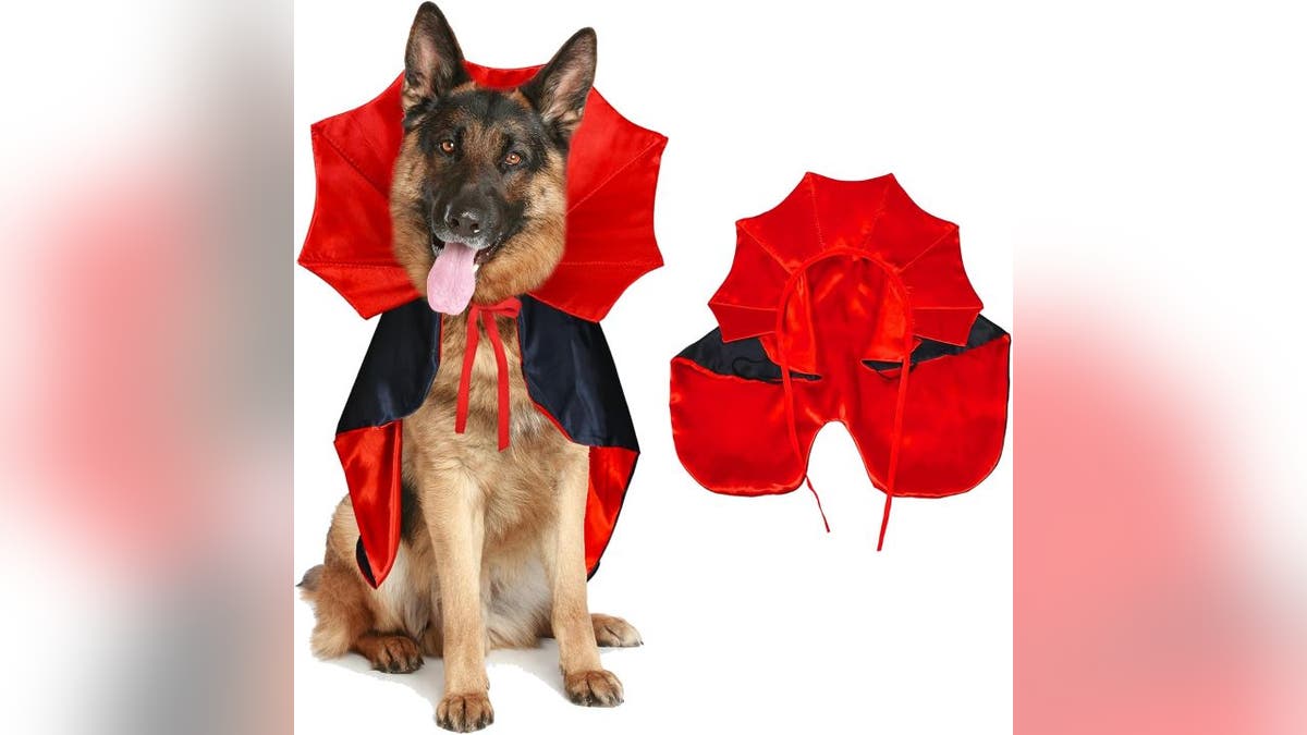 Tie this cloak around their collar for a spooky costume they'll actually keep on.