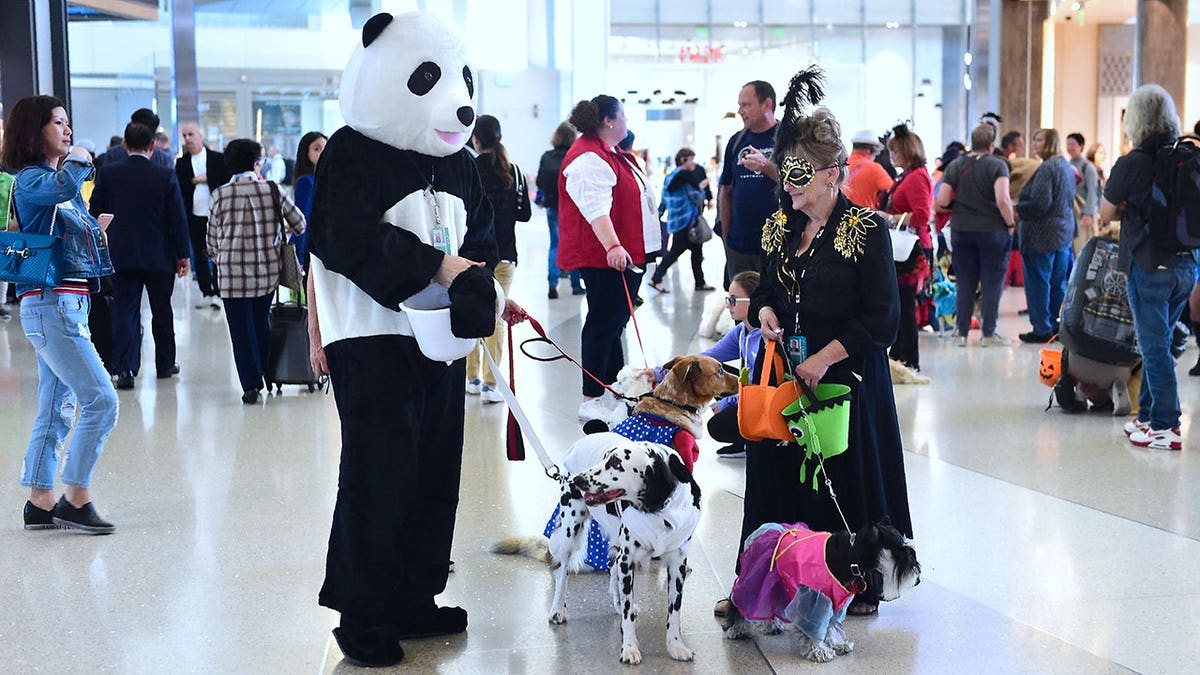 Volunteers and dogs in costume parade through Los Angeles International Airport terminal.