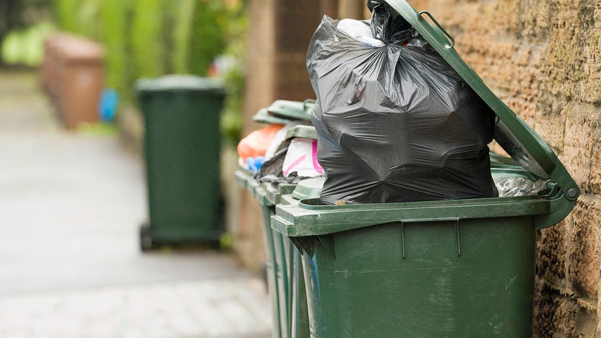Wheelie bins on a pavement waiting for rubbish collection.