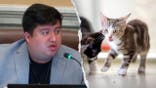 Chavez and cats