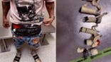 Alberto Hernandez Castillo smuggling live birds.