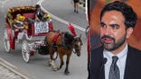 Horse-drawn carriage passes through Central Park in New York City.