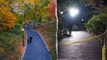 image shows split of park and scene on right