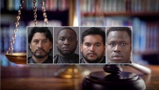 Four of 11 suspected sex offenders arrested in Indiana sting are illegal immigrants: DHS