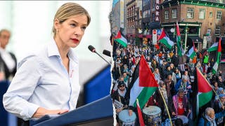 European Parliament votes to confront Muslim Brotherhood, 'Islamist entryism' in overwhelming vote