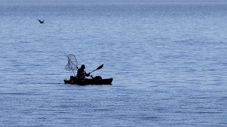 Shark bites fisherman twice during kayaking encounter along California beach