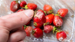 Moldy food isn't always dangerous, expert says: 'Spit it out and move on with your day'