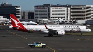Bedbugs found in plane's economy seats force major airline to cancel flight