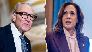 WATCH: Dem senators dodge backing Kamala Harris in potential 2028 run: ‘Very messy’